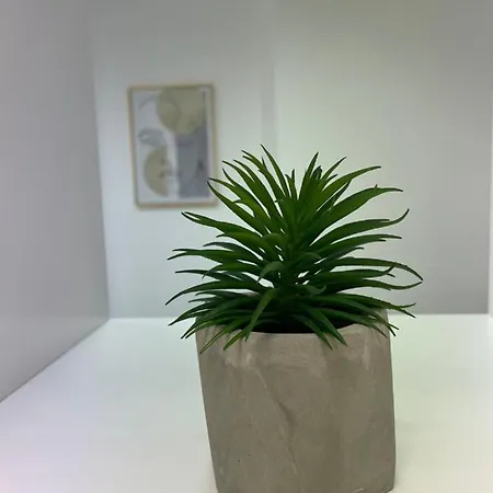 דירה Beauty In Centar פולה